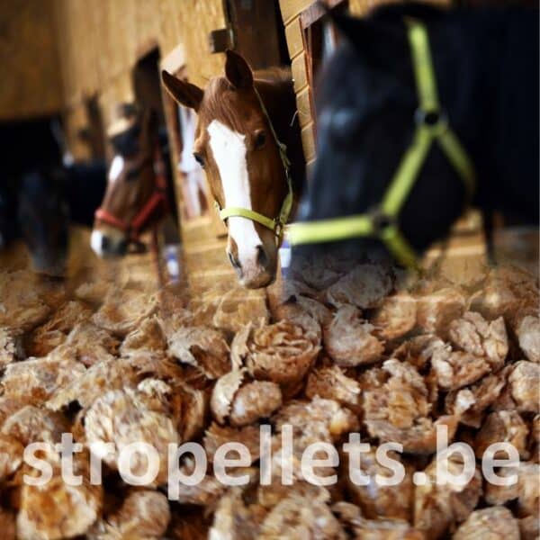 Pellets de paille broyés Premium - Afbeelding 4