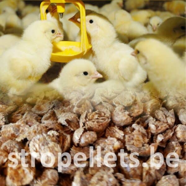 Pellets de paille broyés Premium - Afbeelding 5